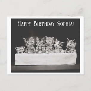 Carte Postale Jolie fête d'anniversaire de chat vintage avec thé
