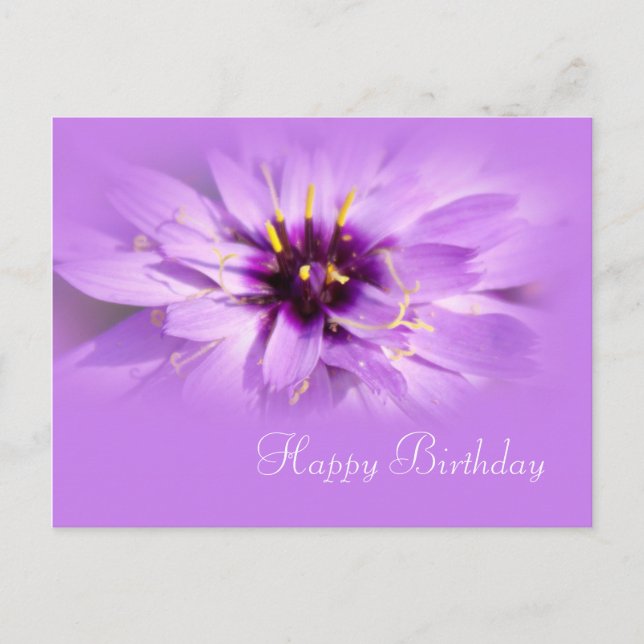 Carte Postale jolie fleur marguerite violette joyeux anniversair (Devant)