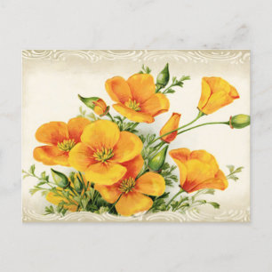 Carte Postale Jolie Fleurs Jaunes Vintages
