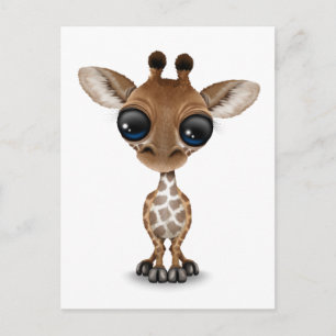 Carte Postale Jolie Giraffe Bébé Curieuse