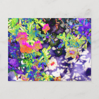 Carte Postale Jolie Petunias