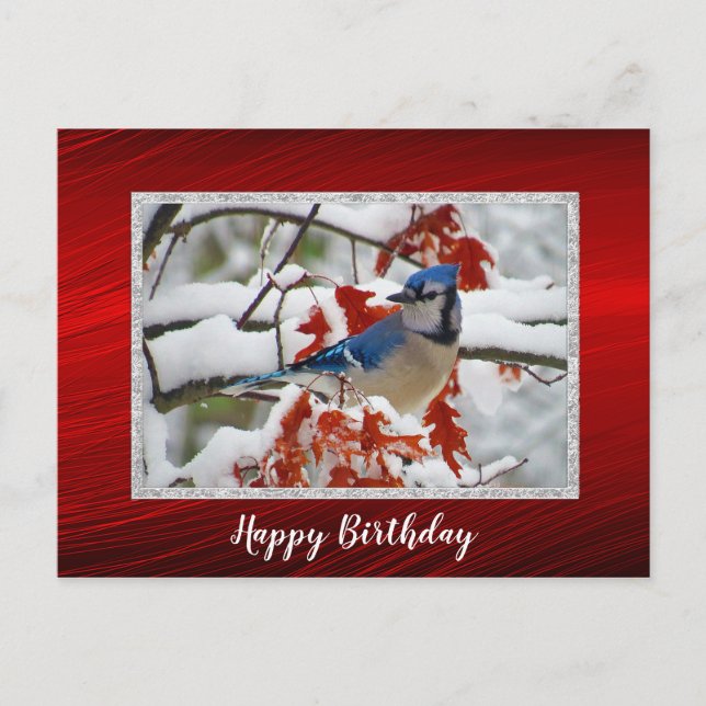 Carte Postale Jolie Photo d'anniversaire de Geai Bleu enneigé (Devant)