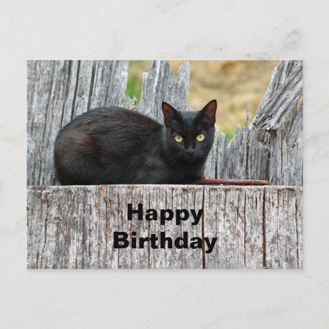 Carte Postale Jolie Photo de Journal Chat Noir pour Anniversaire (Devant)