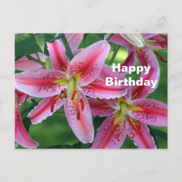 Carte Postale Jolie Photo Fleur de Lys Rose Anniversaire