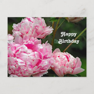 Carte Postale Jolie photo florale d'anniversaire de pivoines ros