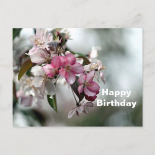 Carte Postale Jolie pomme rose photo florale Anniversaire