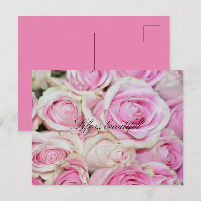 Carte Postale Jolie Roses Blanches Roses Roses Roses Roses Rose (Devant / Derrière)