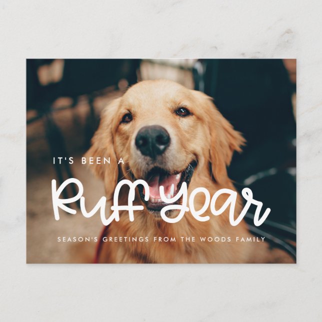 Carte Postale Jolie Ruff Année photo de chien Fête (Devant)
