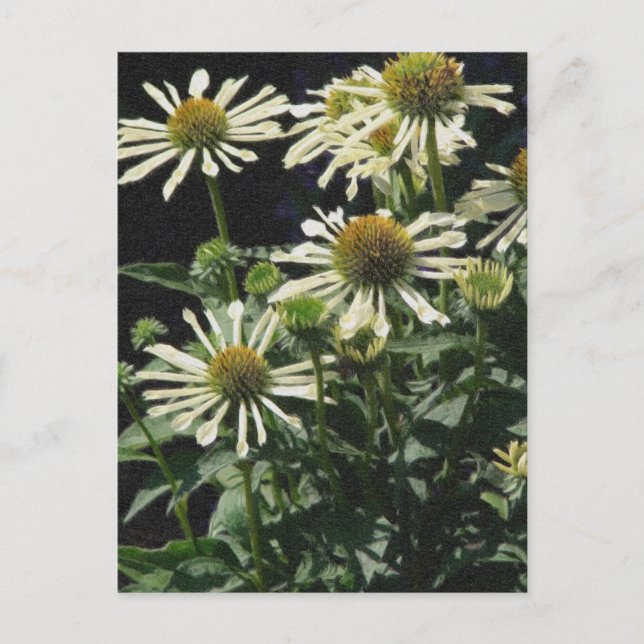 Carte Postale Jolies fleurs (Devant)