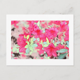 Carte Postale jolies fleurs d'azalée rose. Plante de jardin fleu