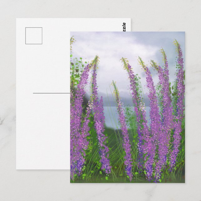 Carte Postale Jolies Fleurs de Lupin au Bord du Lac (Devant / Derrière)