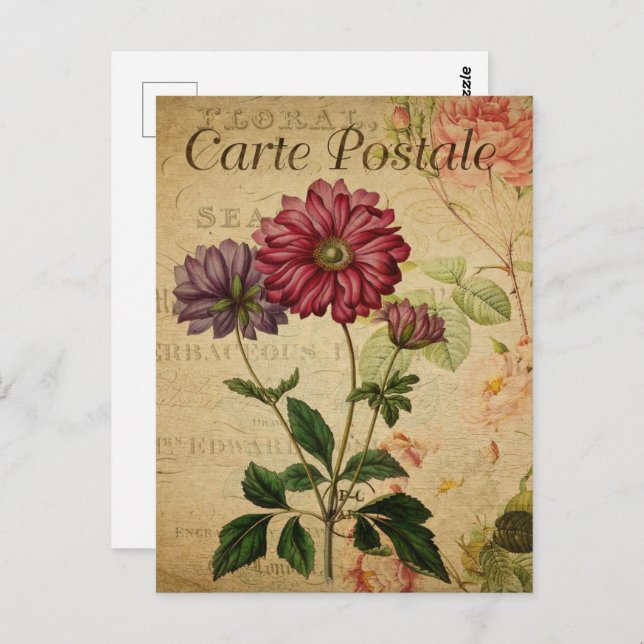 Carte Postale Jolies fleurs Vintages (Devant / Derrière)