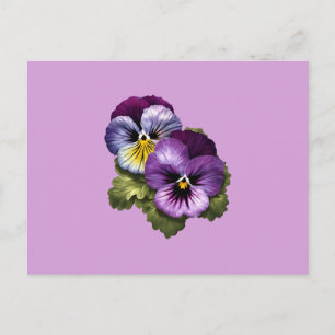 Carte Postale Jolies Pansies Violettes