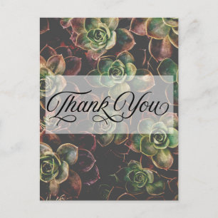 Carte Postale Jolies plantes succulentes Merci