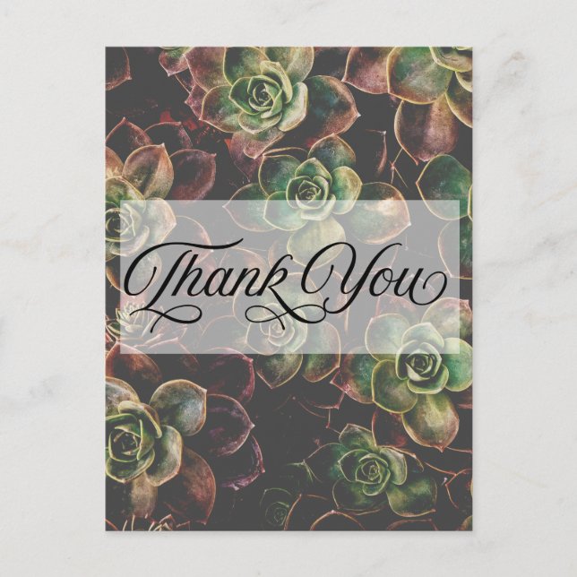 Carte Postale Jolies plantes succulentes Merci (Devant)