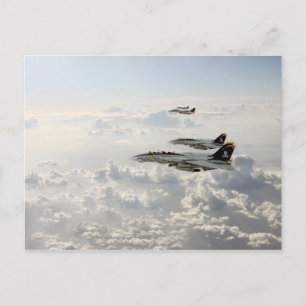 Carte Postale jollys rogers