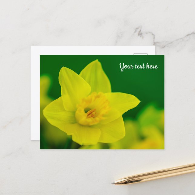 Carte postale jonquille (Devant/Arrière en situation)