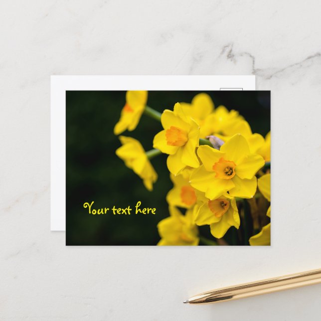 Carte postale jonquilles (Devant/Arrière en situation)