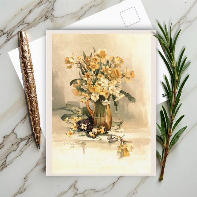 Carte Postale Jonquilles  (Créateur téléchargé)