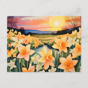 Carte Postale Jonquilles dorées au coucher du soleil dans un pré