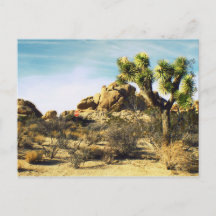 Carte postale Joshua Tree