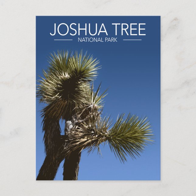 Carte Postale Joshua Tree National Park Branches Stylisées Voyag (Devant)