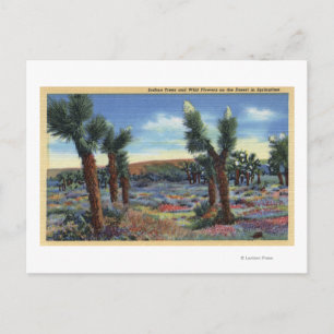 Carte Postale Joshua Trees et Fleurs sauvages du désert Vue