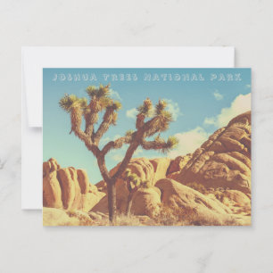 Carte Postale Joshua Trees Parc National Paysage Paysage