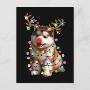 Carte Postale Jote Alaskan Malamute Chien cadeaux de Noël
