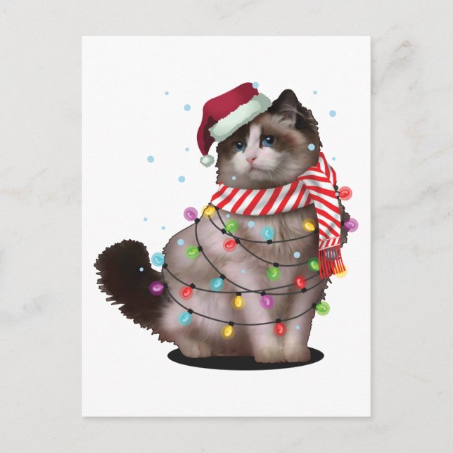 Carte Postale Jote Ragdoll Amoureux des chats Funny Noël cadeau  (Devant)