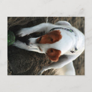 Carte Postale "Jouer dur"