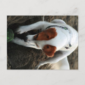 Carte Postale "Jouer dur"