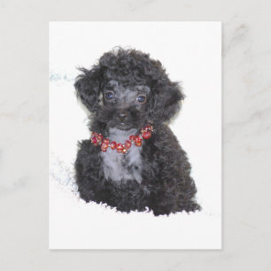 Carte Postale Jouet en argent noir chiot poupée bling