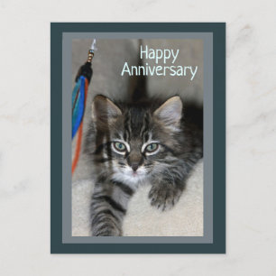 Carte postale Joueur Kitten Kimber Anniversaire