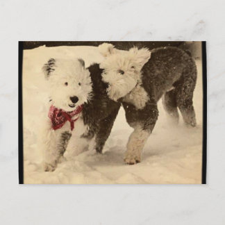 Carte Postale Jouons !