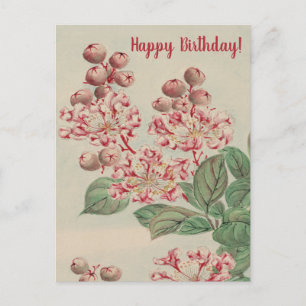 Carte Postale Jour d'anniversaire de la floraison de cerisiers v