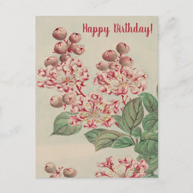 Carte Postale Jour d'anniversaire de la floraison de cerisiers v (Devant)