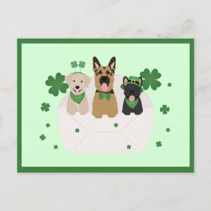 Carte Postale Jour de la Saint Patrick Dog Mail