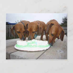 Carte Postale jour de la St Patrick