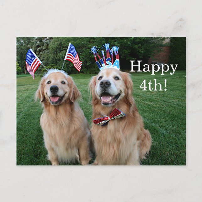 Carte Postale Jour de l'Indépendance en plein air Golden Retriev (Devant)