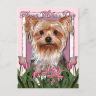 Carte Postale Jour de mères - tulipes roses - Yorkshire Terrier