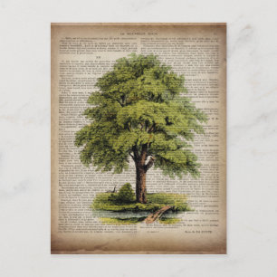 Carte Postale Jour des terres ECO dictionnaire imprime chêne vin