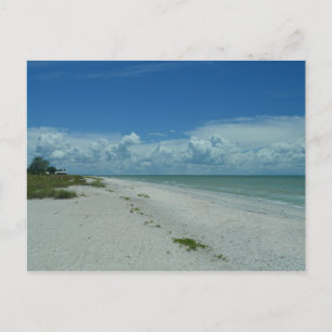 Carte Postale Jour pittoresque Plage tropicale Vacances Paysage 