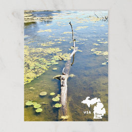 Carte Postale Journal horizontal des tortues du Metropark Lake E
