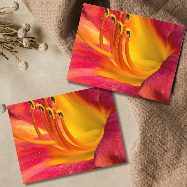 Carte postale journalière rouge gracieuse (Créateur téléchargé)