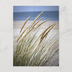 Carte Postale Journée farniente à la plage