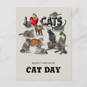 Carte Postale Journée internationale du chat