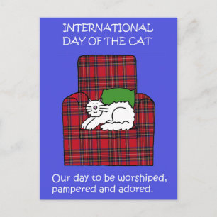 Carte Postale Journée internationale du chat 8 août Caricature