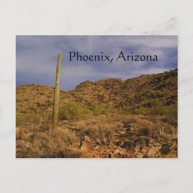 Carte Postale Journée orageuse à Phoenix (Devant)