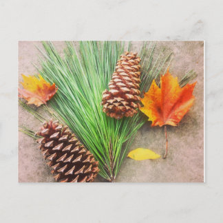 Carte Postale Jours d'automne